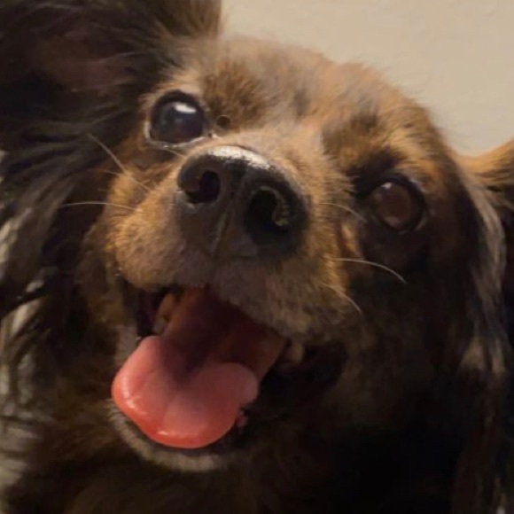 Meet your Posher, Meredith - Picture 1 of 1